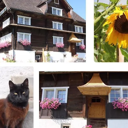 Scheftenau By Interhome Wattwil