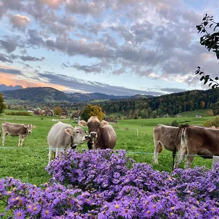 Scheftenau By Interhome * Wattwil