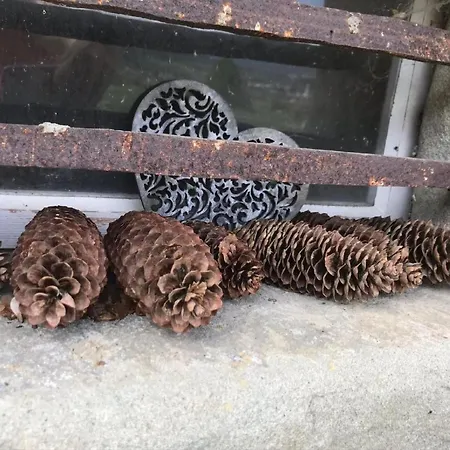 Scheftenau By Interhome * Wattwil