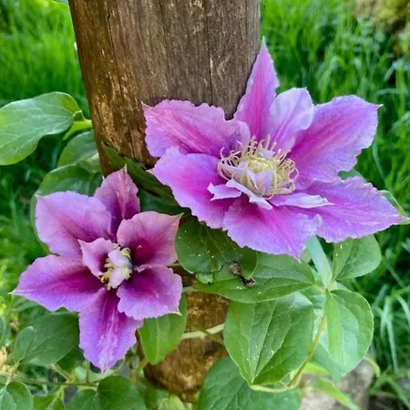 Apartamento Scheftenau By Interhome