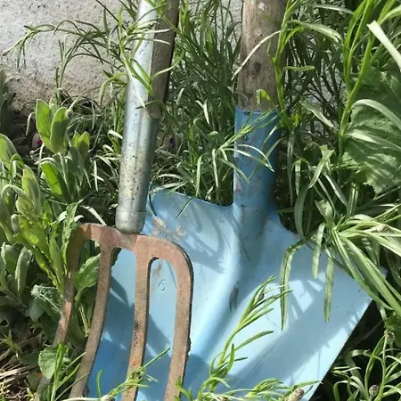 Scheftenau By Interhome Apartamento *