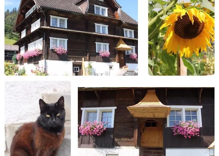 Scheftenau By Interhome Wattwil