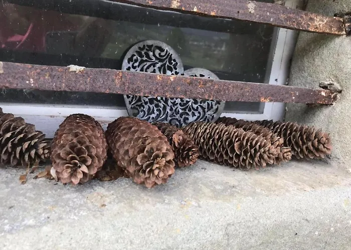 Scheftenau By Interhome * Wattwil