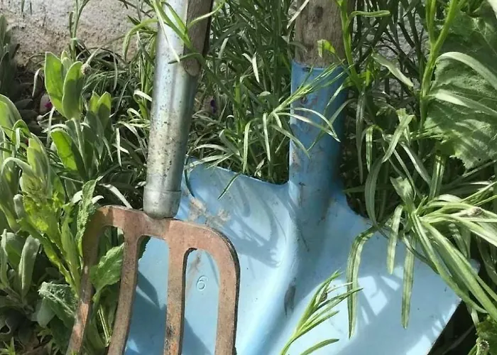 Scheftenau By Interhome Διαμέρισμα *