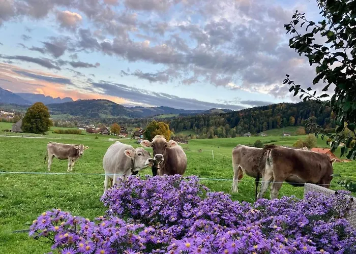 Scheftenau By Interhome * Wattwil